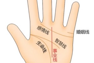 命运线和事业线的关系图解