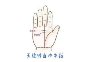 通过手相看学历