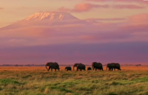  巨门星风水出什么人才