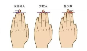 无名指比食指长的男人命运