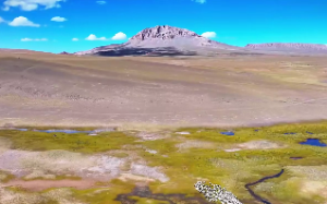 八字如何看桃花在哪一年