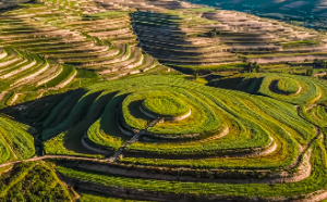 八字中何为墓库