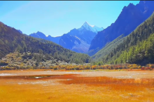 风火家人卦等人