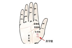手相井字纹解析图