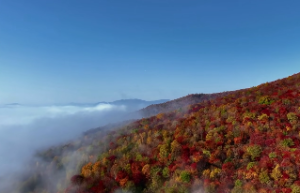 八字没有食伤能赚钱吗