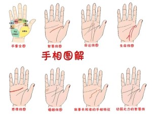 掌纹女右手详解