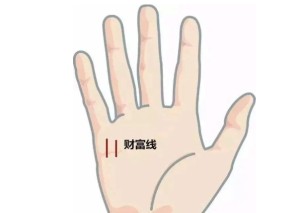 手指看财运,这样的手命里带财!