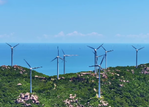 刑忌夹印的人都怎么样了