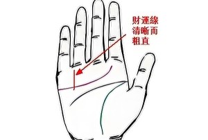 男人手财运线图解大全