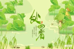 处暑吃哪些食物
