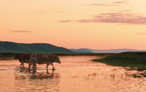 81数理法吉凶数字表