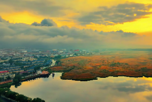 紫微斗数看考试成绩