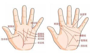 二婚命的手相特征有哪些