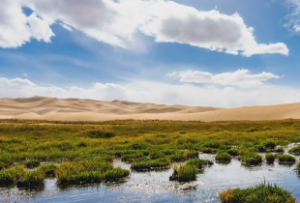  科名会禄格是富贵格局吗