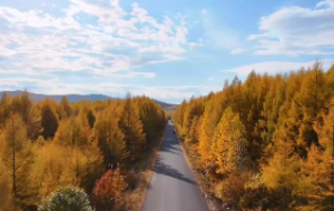 戌时女生好不好