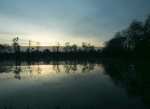 关于命理易理的感悟