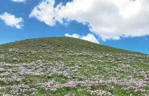 十神的生克关系学会你也会算命