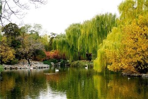 未时是指什么时间