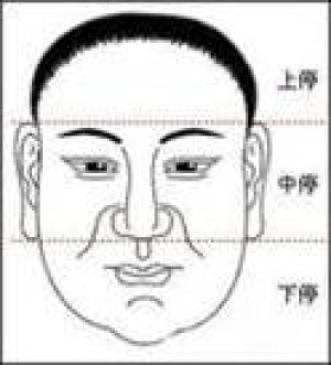 面相三停图解解析