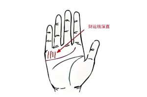 从手相看你未来从事什么工作