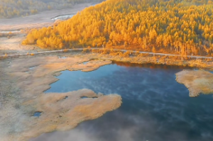  女孩男孩什么时辰出生好