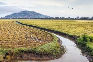 梦见壕沟 水沟是什么意思？