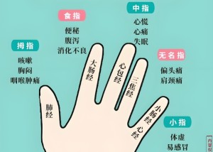 五指快速诊断健康法是什么