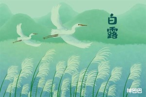 白露节气吃什么食物养生