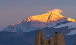 贪狼星在哪个宫最好