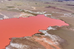 佛灯火和壁上土相合