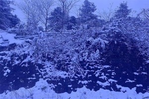 2025年小雪是哪一天几月几日几点