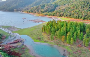 身体特征判断八字