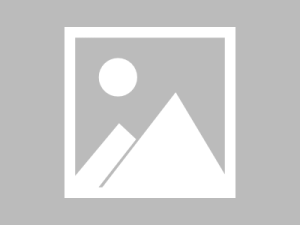 2027年羊是什么命五行属什么