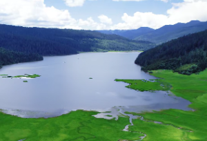 食神伤官在四柱中的意义和作用