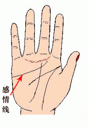 为sex结婚者的手相特征是什么