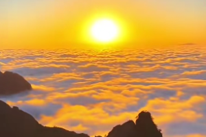 兔的天干五行属什么