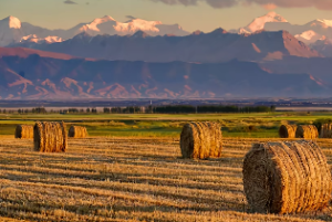 盲派算命做功方法