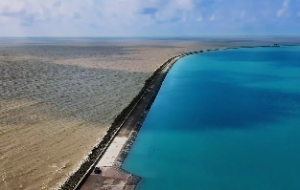 女命八字印代表什么