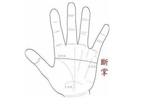 断掌纹的男人婚姻怎么样