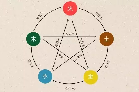 1991年是土命还是金命 1991年是土命还是金命